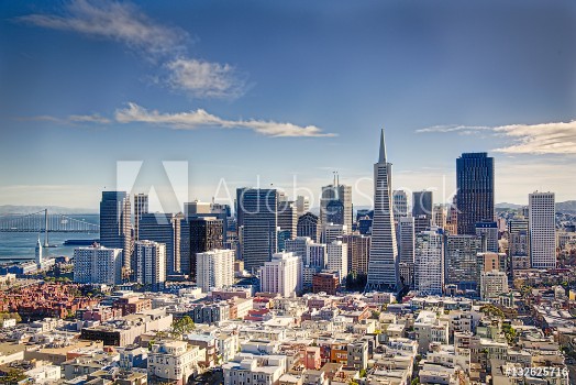 Picture of San Francisco Skyline